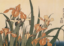 Katsushika-Hokusai 1800-1805